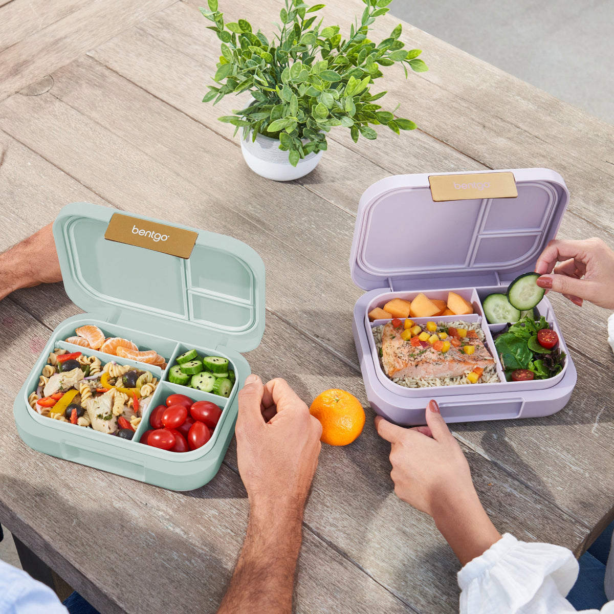 bentgo-modern-lunch-box-2-pack-v9 COSTCOBMCPRODUCTIMAGE_2.jpg
